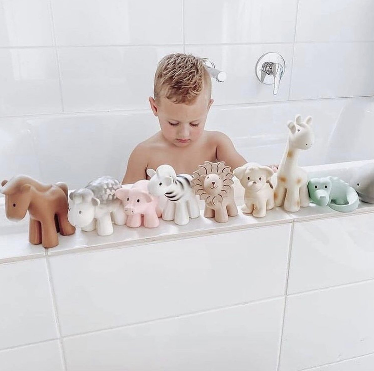 Bath Toys