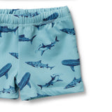 Wilson and Frenchy Sharky Rashie Swim Set